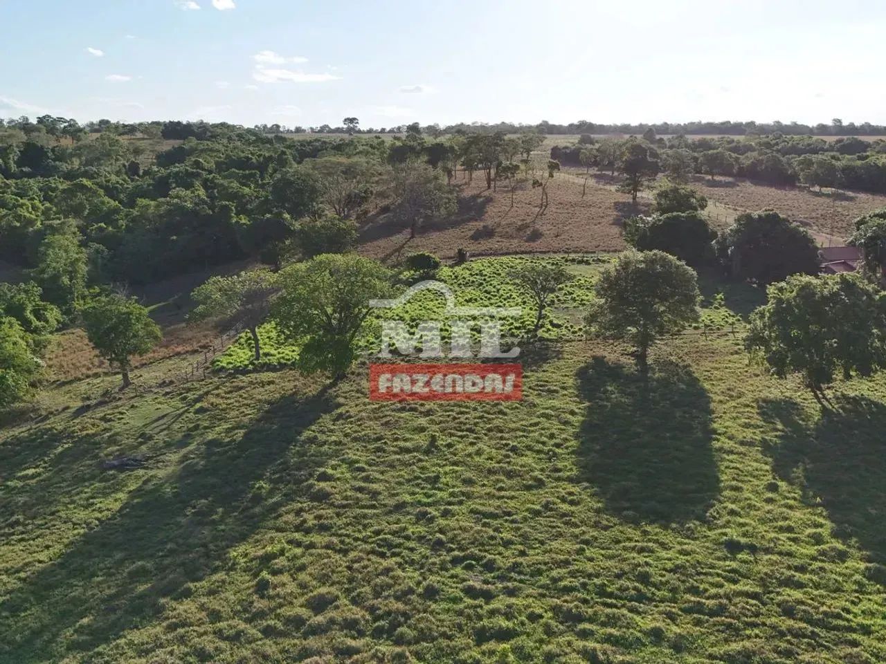Fazenda 140 Alqueires (678 hectares) Araguaçu - TO - Foto 3