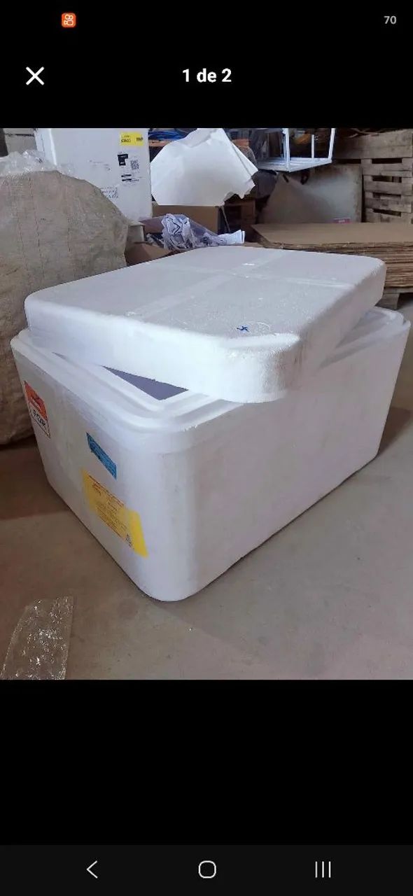 Isopor 100L - Foto 4