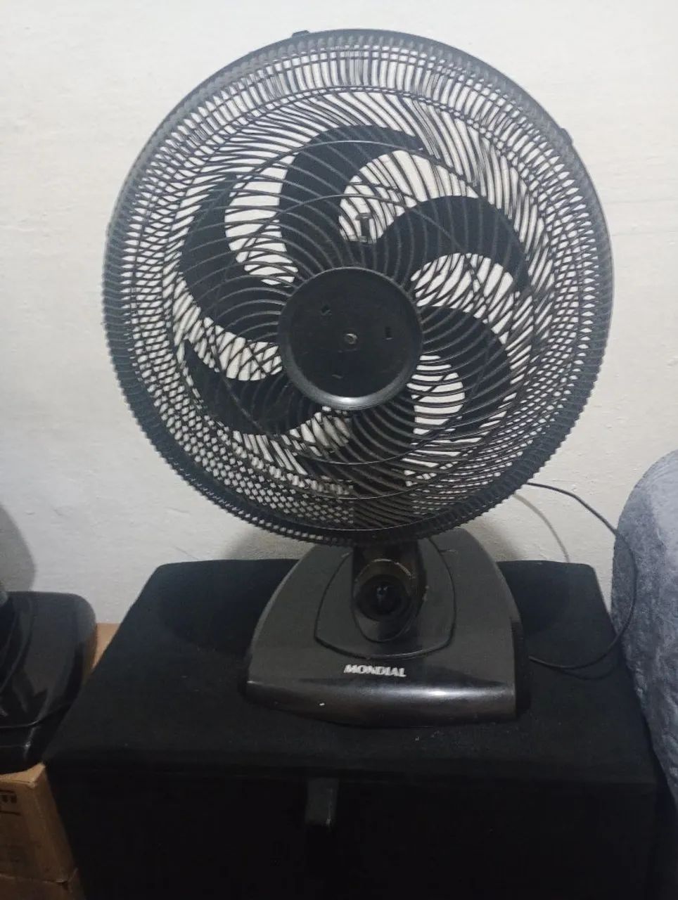 Fan