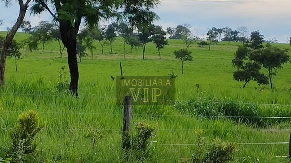 Zona Rural - Coxim MS - Foto 5