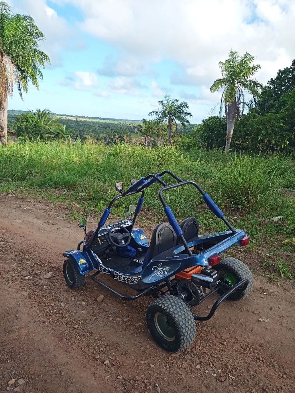 Mini buggy fapinha - Foto 2