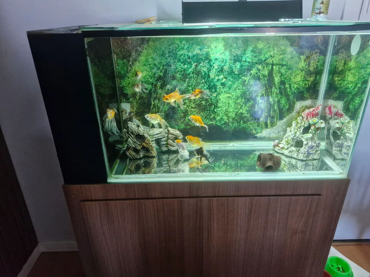 Aquário com armário planejado  - Foto 4