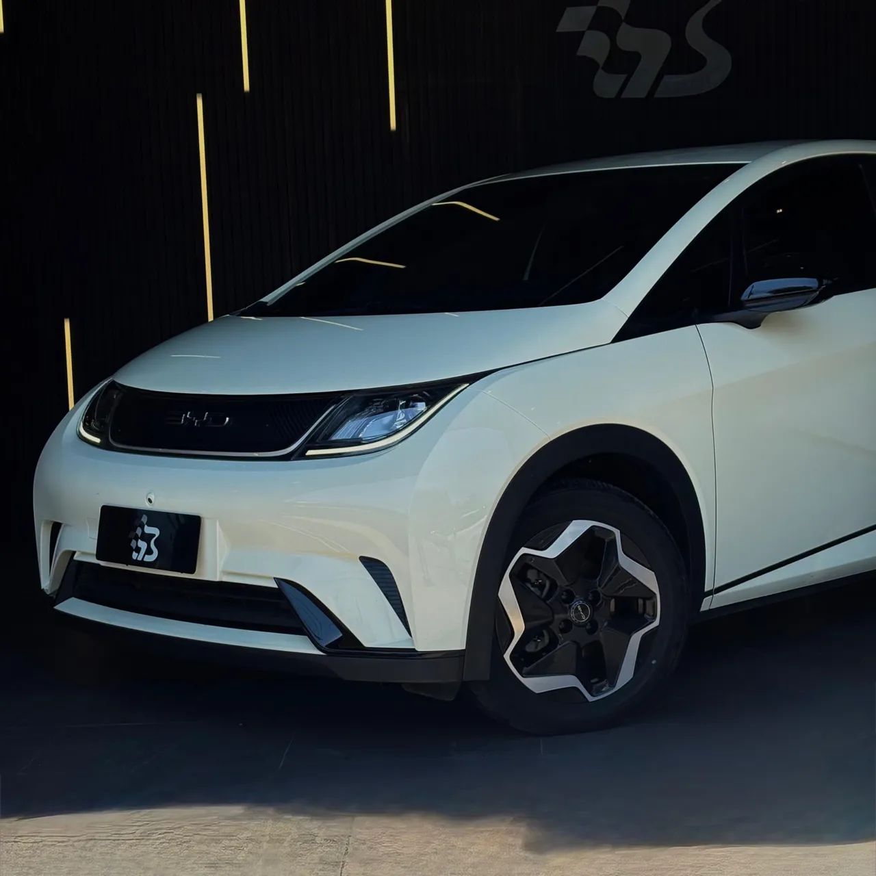 BYD Dolphin GS (Elétrico) 2024 - Foto 2