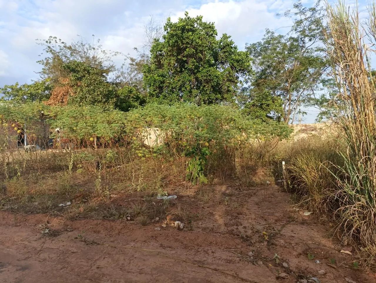 Foto - Boa Vista - João de Barro