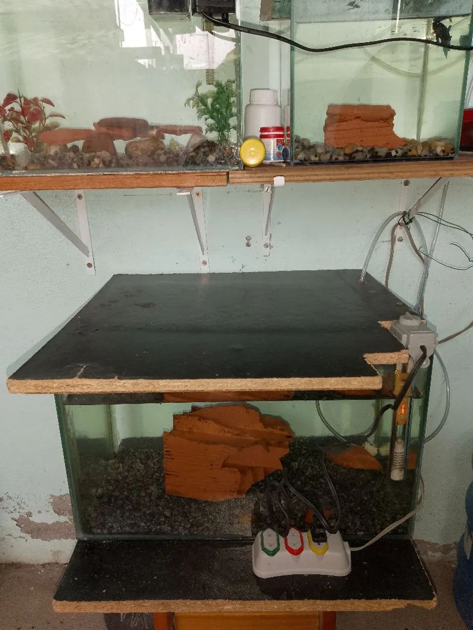 Aquários.