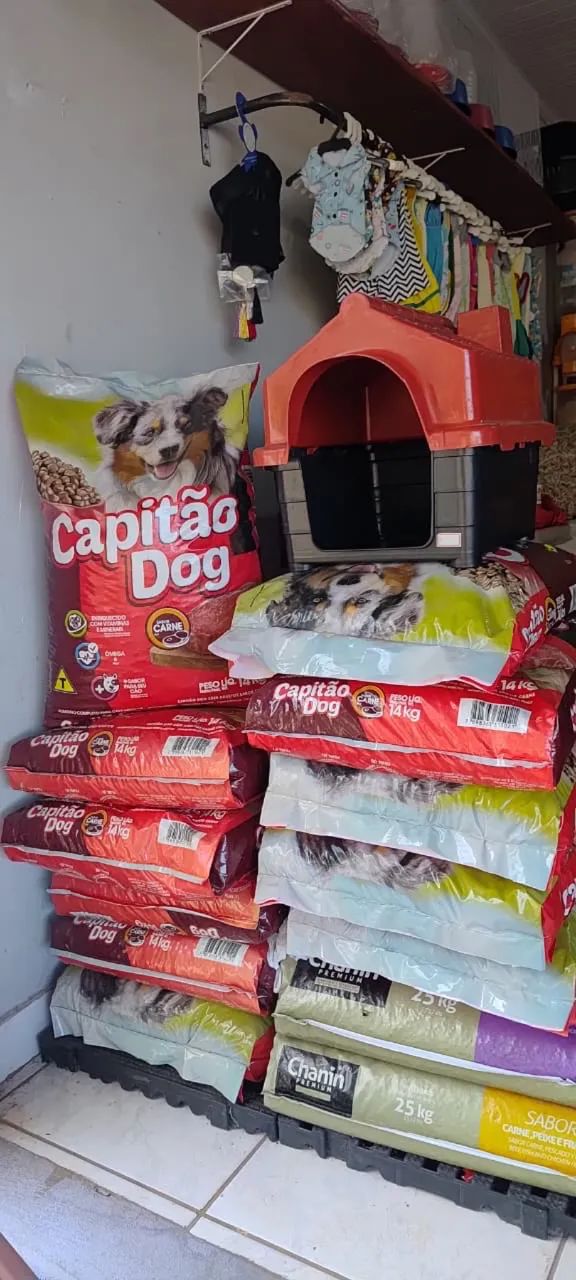 Vende-se pet shop completo com banho e tosa - Foto 5