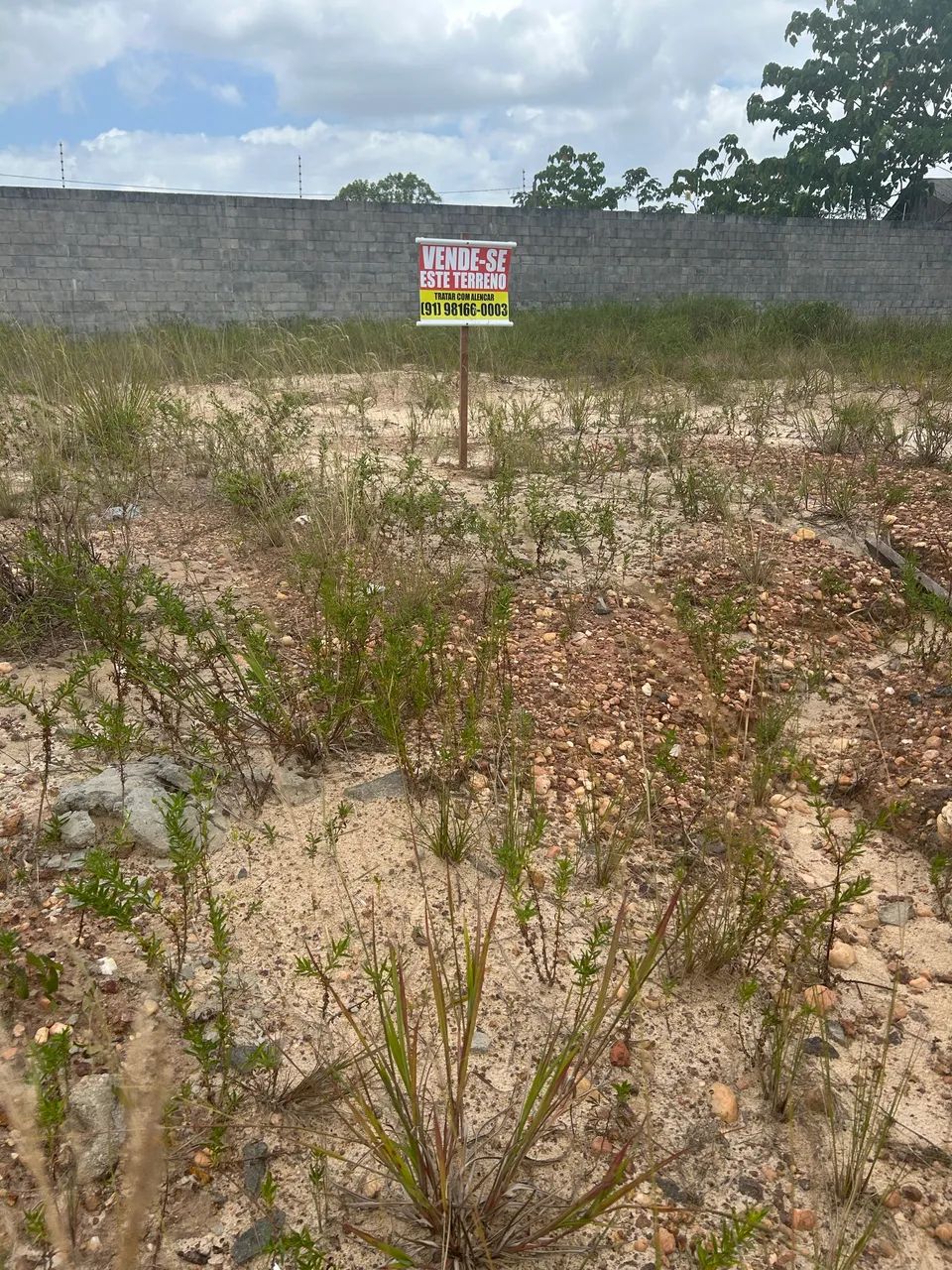 Terreno no Bougainville
