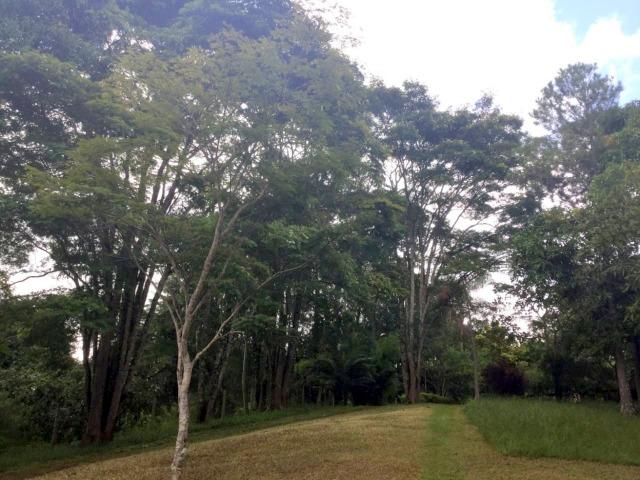Cód.5684- Chácara Itapuã - Sítio do Recreio - Anápolis - Foto 19