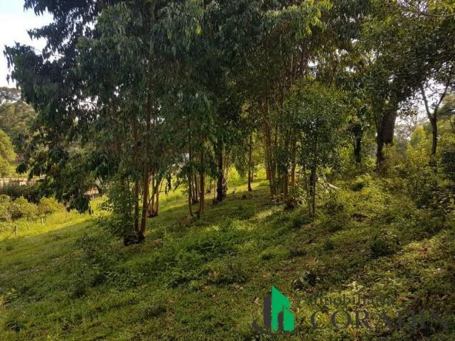 Linda Chácara em Bocaiuva do Sul - Foto 20