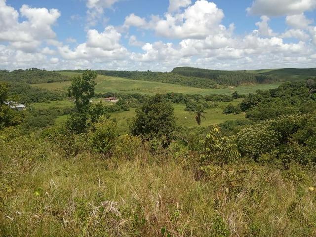 Vendo excelente área com 7.8 Hectáres em São Lourenço da Mata / PE - Foto 8