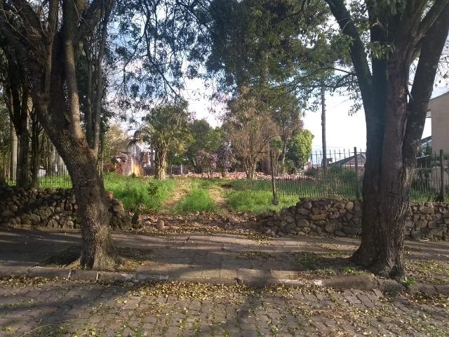 Oferta exclusiva Imóveis Union! 02 terrenos com 337,5 m² cada no bairro petrópolis! - Foto 5