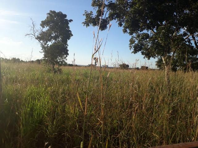 Fazenda para Pecuária em Livramento - Foto 6
