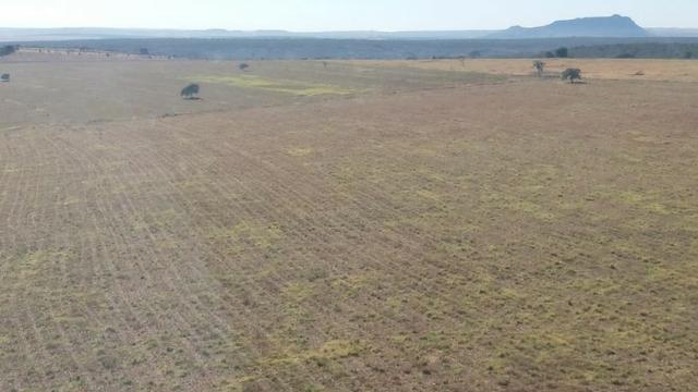 Fazenda 2.520 Alqueires - Foto 9