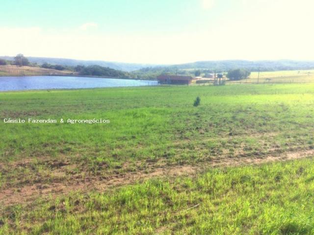 Fazenda para venda em encruzilhada do sul, interior - Foto 13