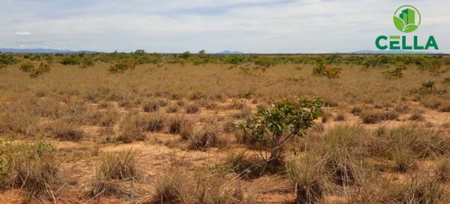 Fazenda / 6.754 ha (1.395 Alq.) / Região de Boa Vista / Roraima