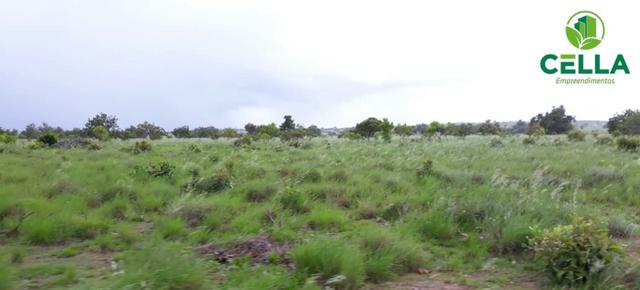 Fazenda / 6.754 ha (1.395 Alq.) / Região de Boa Vista / Roraima - Foto 4