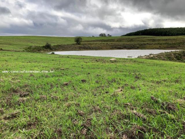Fazenda para venda em encantado, interior - Foto 7