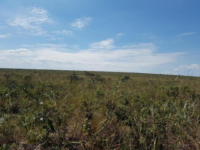 Fazenda à venda, permuta 14520000 m² por R$ 6.000.000 - Zona Rural - Pontes e Lacerda/MT - Foto 4