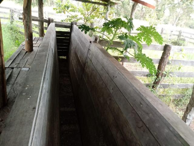 Fazenda para Pecuária em Livramento - Foto 3