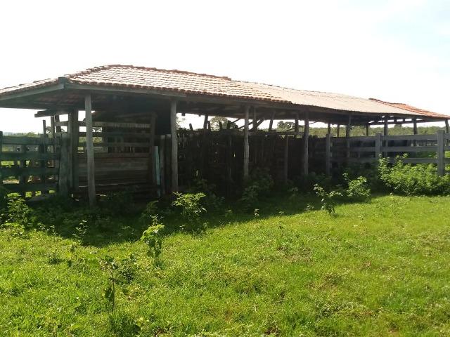 Fazenda para Pecuária 1.940 hectares na Estrada do Manso 50 km Cuiabá - Foto 6
