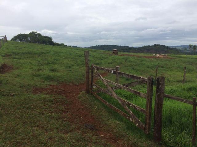 Fazenda rural à venda em Roncador - PR - 52 alqueires. - Foto 8