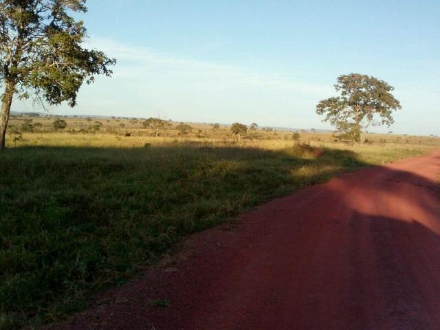 Fazenda 2.520 Alqueires - Foto 3