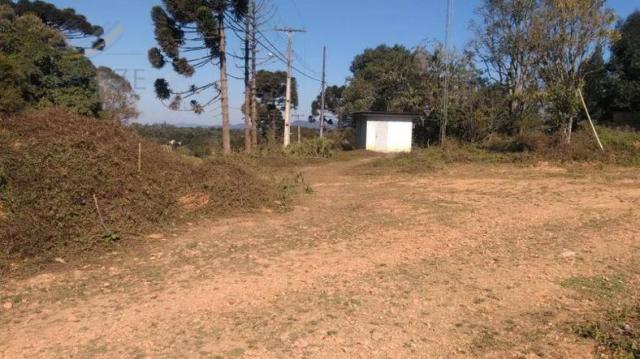 Chácara à venda em Contenda, São josé dos pinhais cod:1823956 - Foto 5