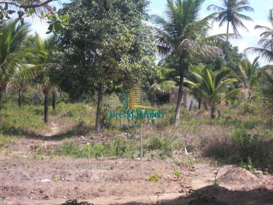 Área à venda, 900000 m² por r$ 3.000.000 - 7km do centro de porto seguro - porto seguro/ba - Foto 5
