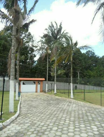 Chácara Localizada em Goiânia - Foto 3