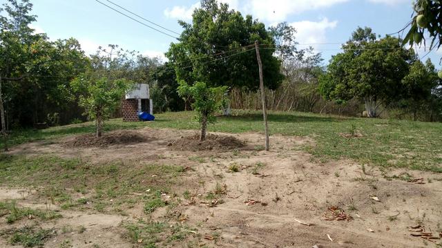 Sitio , fazenda, chácara - Foto 7