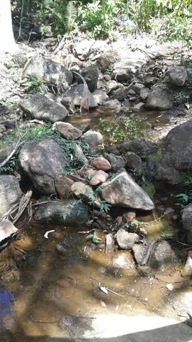 Fazendinha em SANTA LEOPOLDINA ESCRITURADA - Foto 5