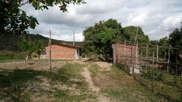 Sitio , fazenda, chácara - Foto 6