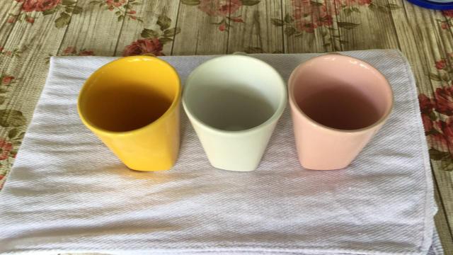 Canelas de Porcelana - Foto 3
