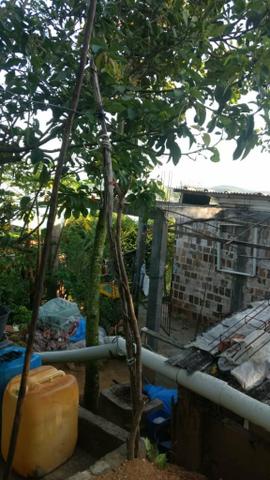 Vendo casa com terreno - Foto 2