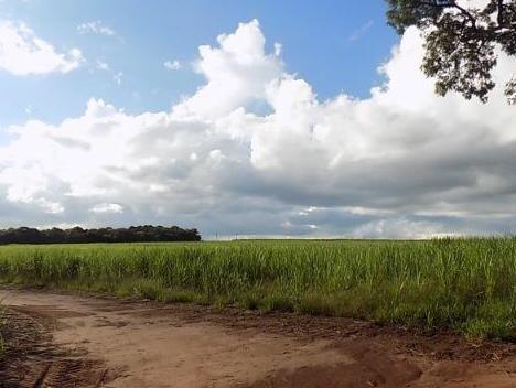 Fazenda 320 Alqueires, Região de Avaré-Sp - Foto 4