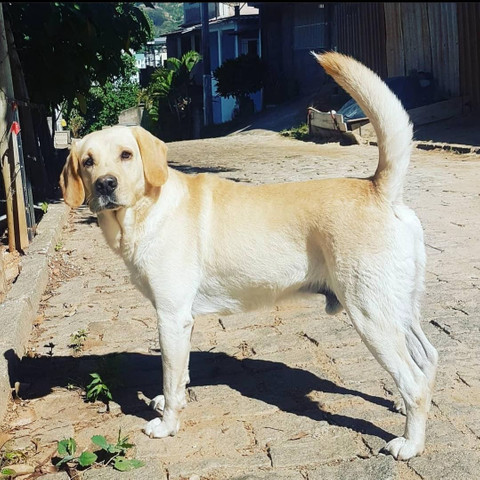 Procuro uma namorada! - Foto 3