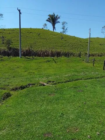 Vendo Fazenda  55 mil o alqueiro