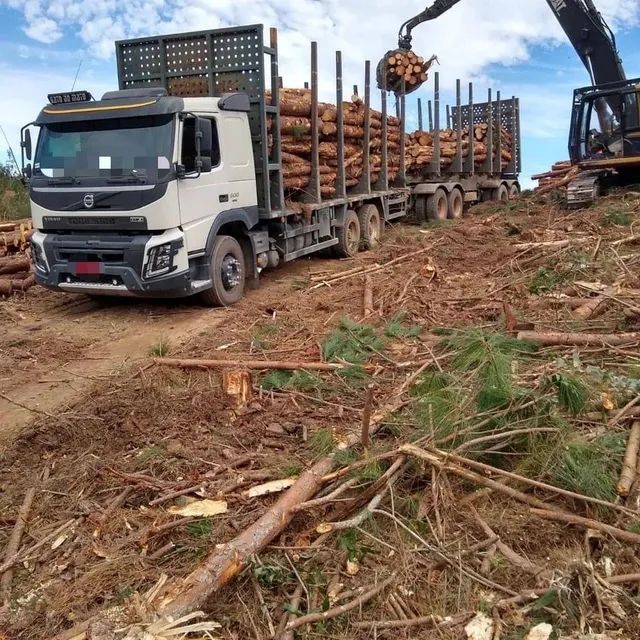 Volvo fmx 500 ano 2016 com julieta noma 4 eixos - Caminhões