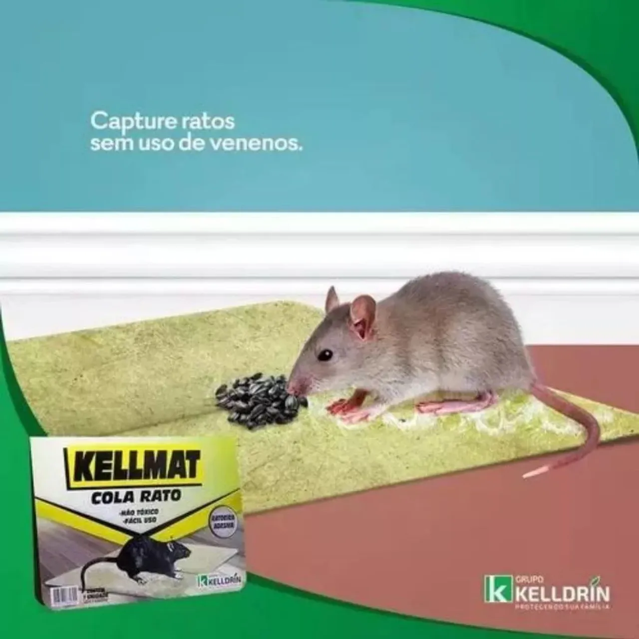 Cola pega rato cola adesivo