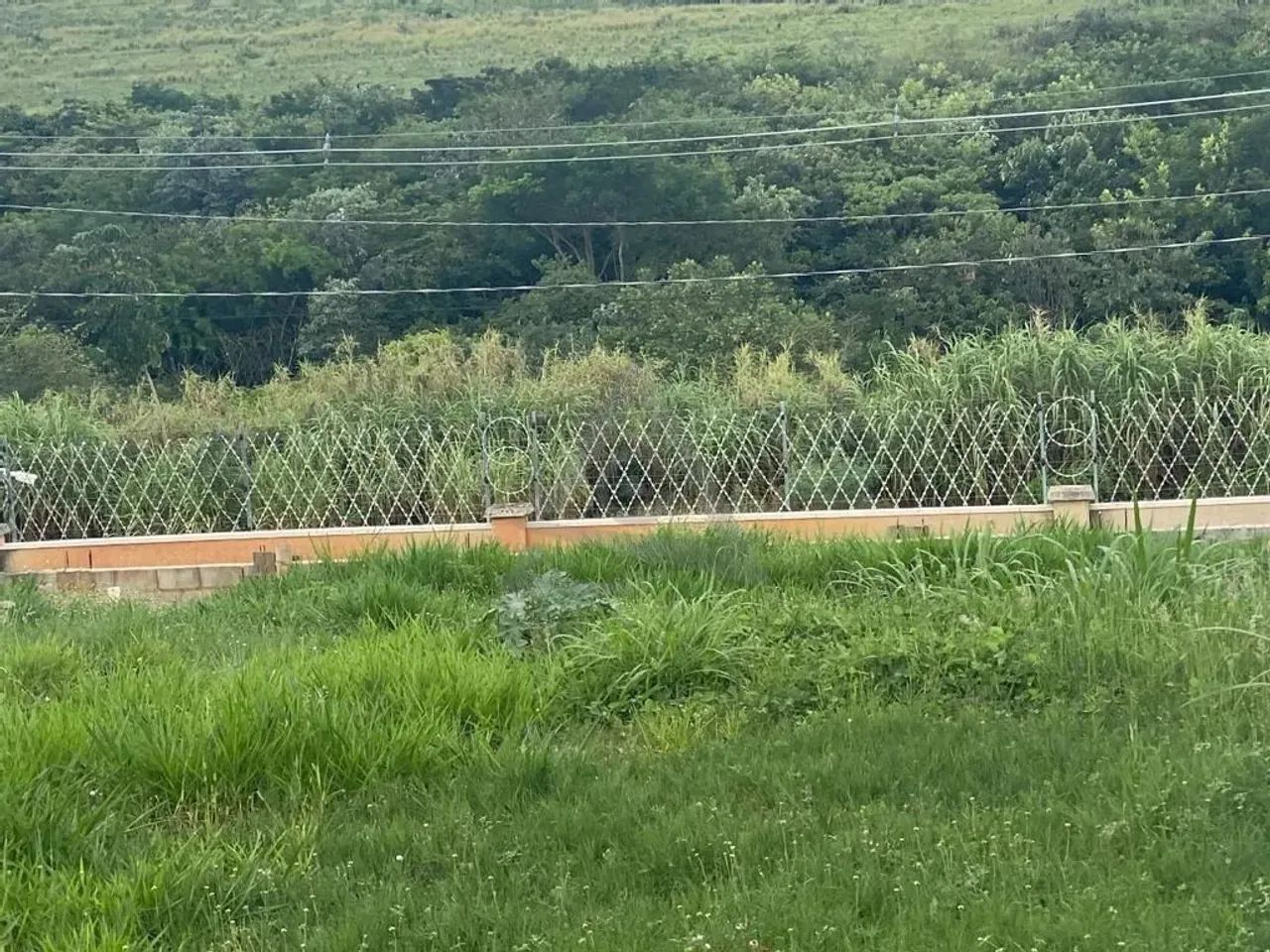 Terreno à venda em Campinas, Loteamento Residencial Arborais, com 501 m², Residencial Arbo - Foto 3
