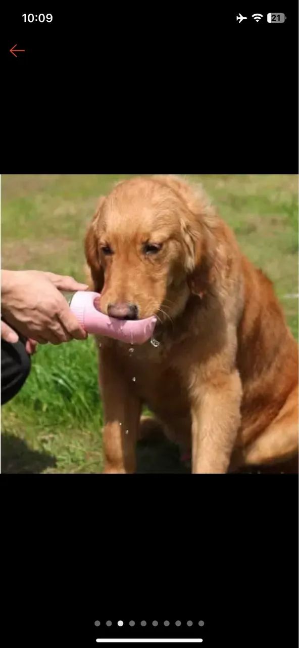 Garrafa d água 2 em 1 portátil para gatos e cães multifuncional 