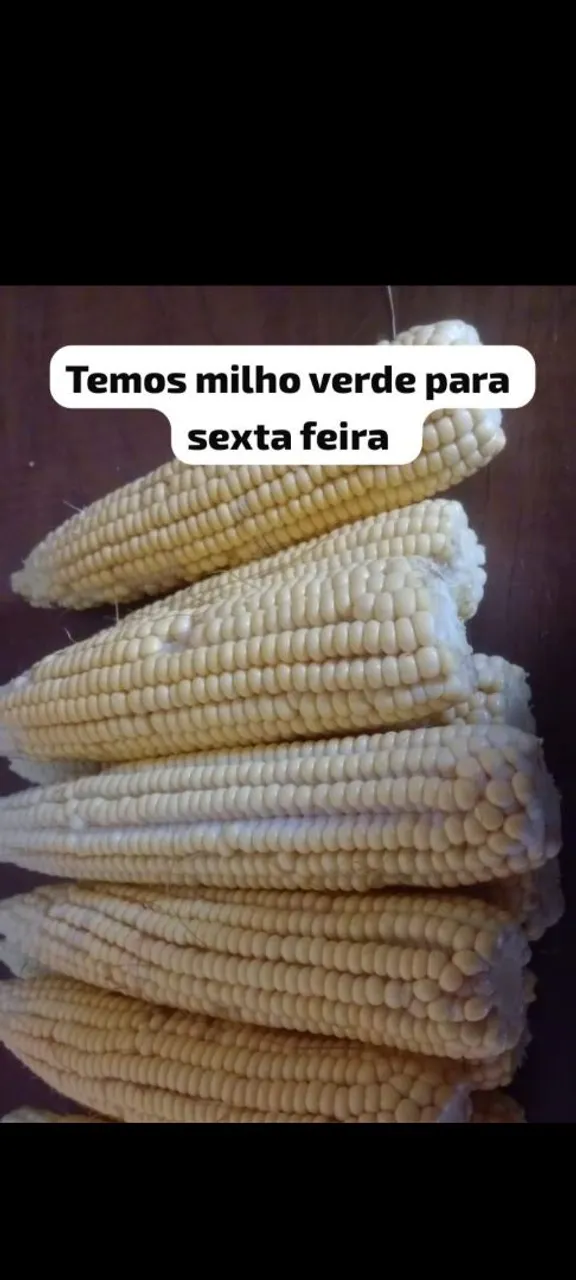 Milho verde fresco para sua sexta-feir *a!