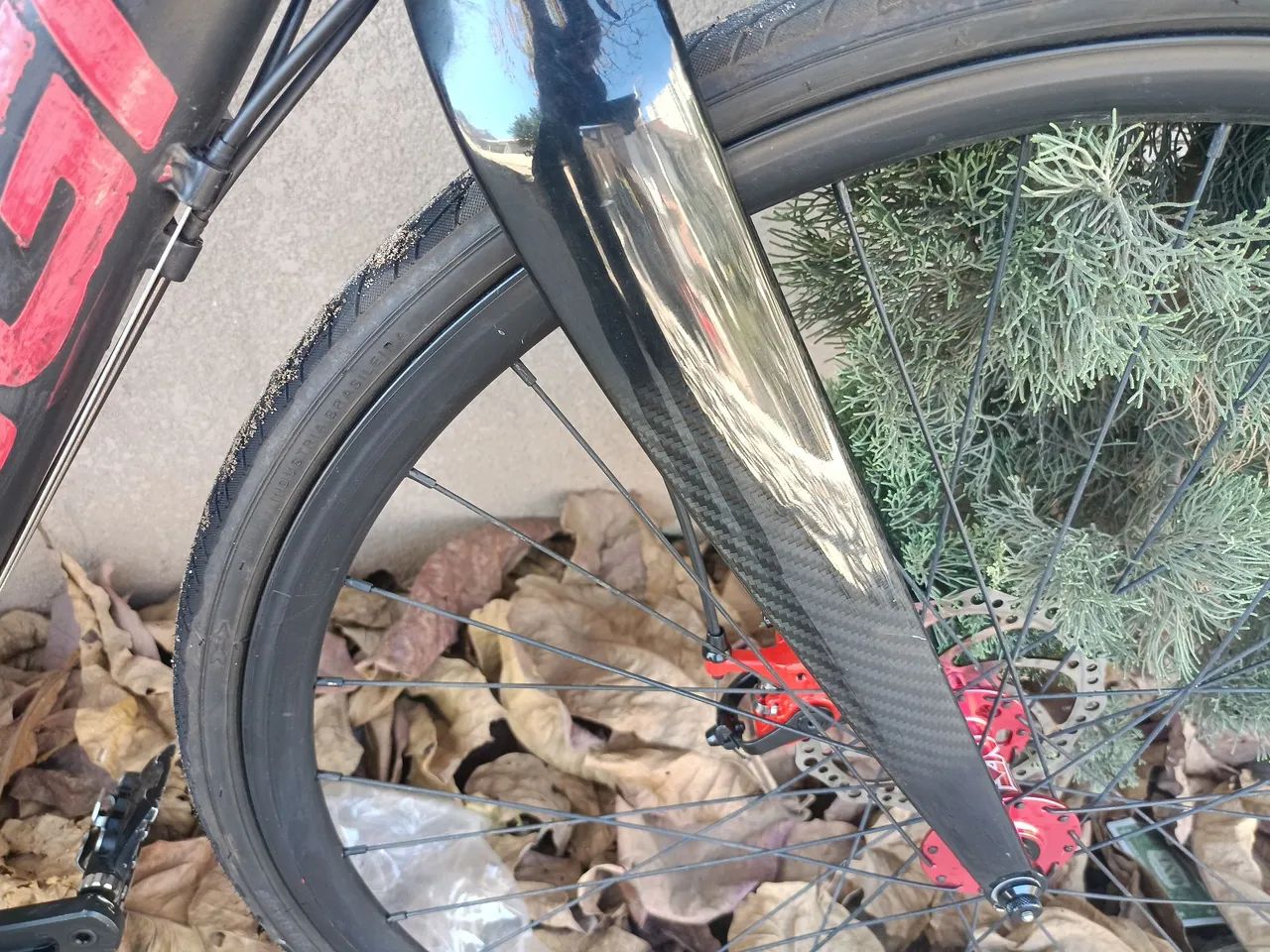 Speed Oggi Veloster  - Foto 4