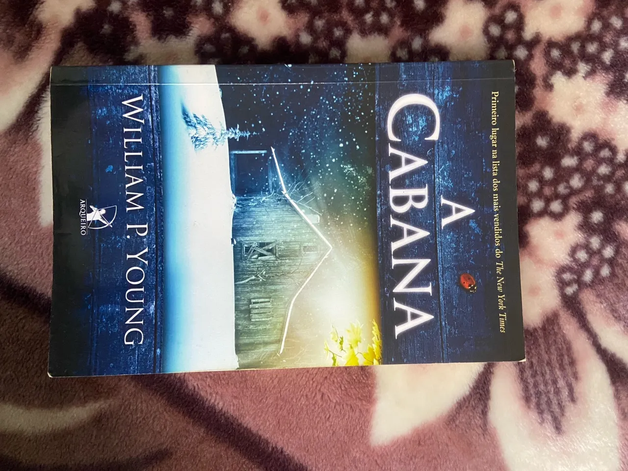 A Cabana - William P. Young