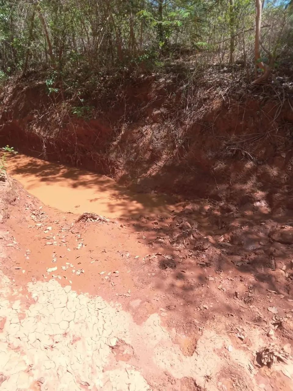 Sítio de 13 hequitares a 32 km de moc  - Foto 4