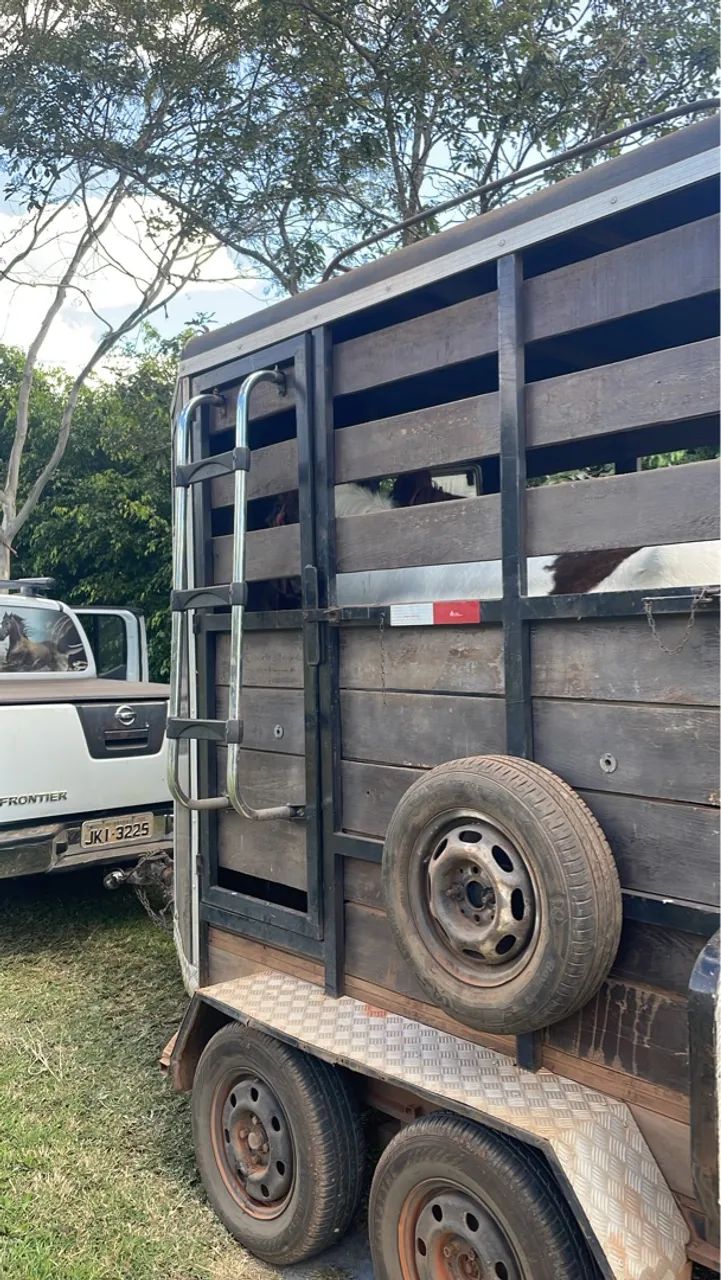 Transporte de Cavalos - Foto 2