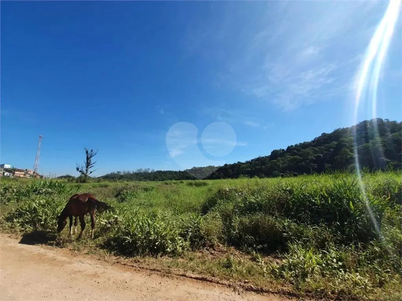 Terreno à venda em Vila figueiredo - SP - Foto 3