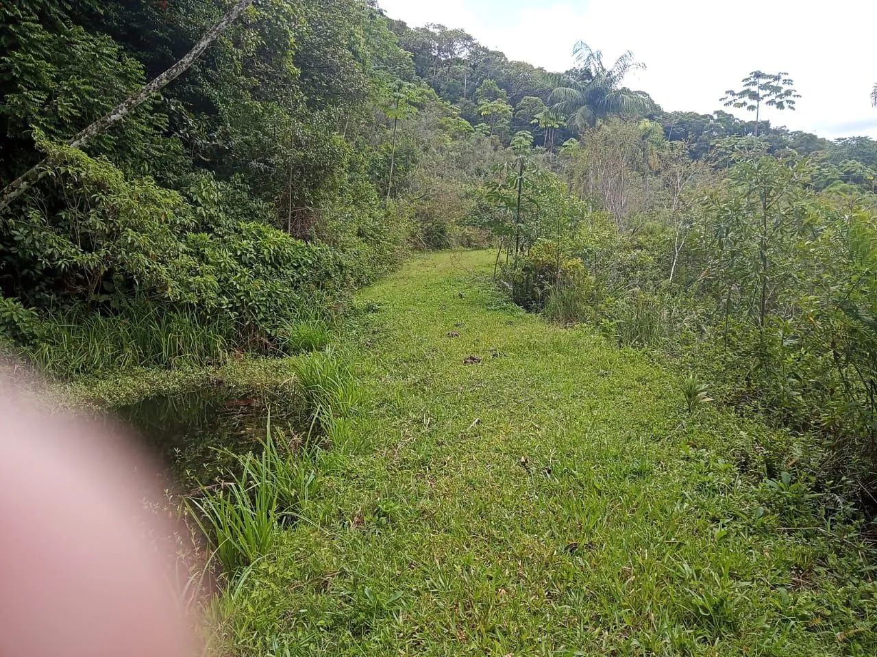 Sítio Luiz Alves - SC - Foto 2