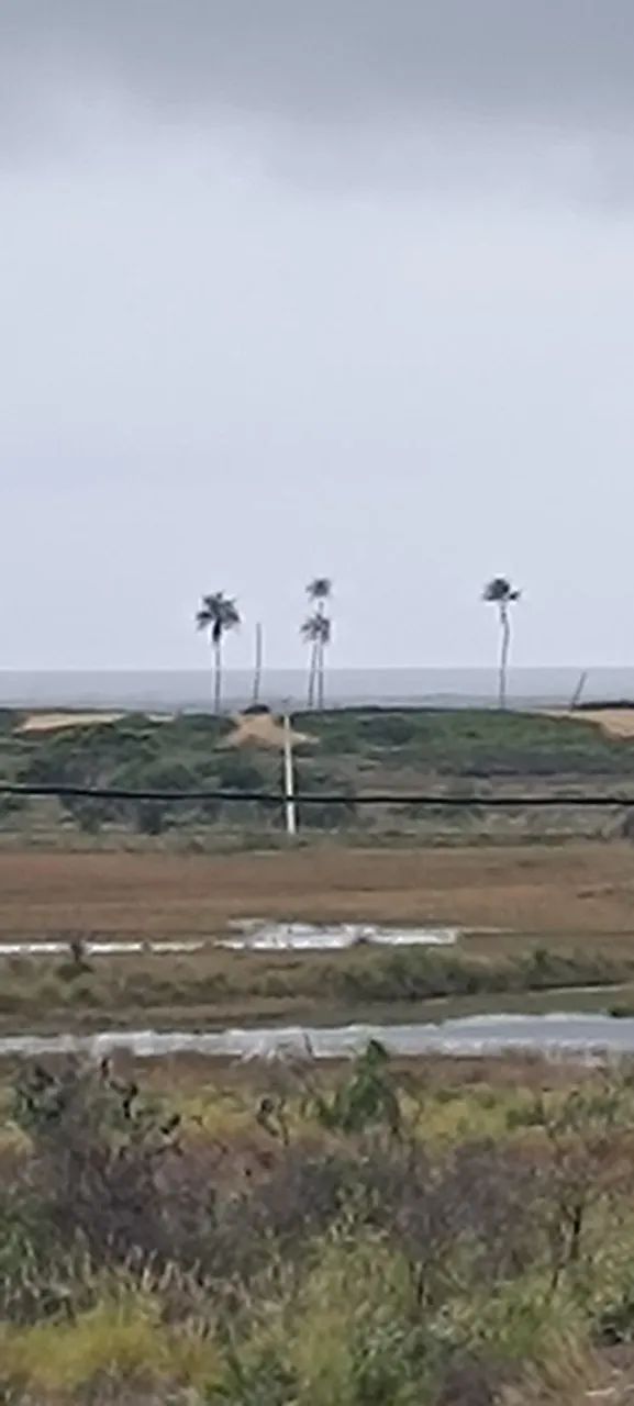 Foto - Camaçari - Arembepe (Abrantes)
