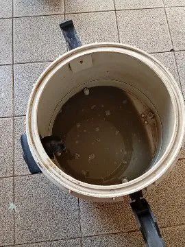 Higienização e lavagem a seco  - Foto 4